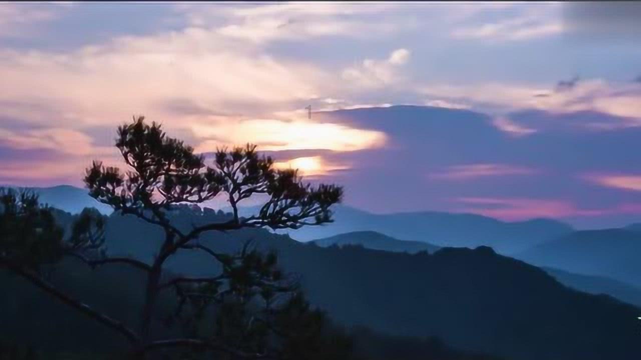 长江投资5涨停